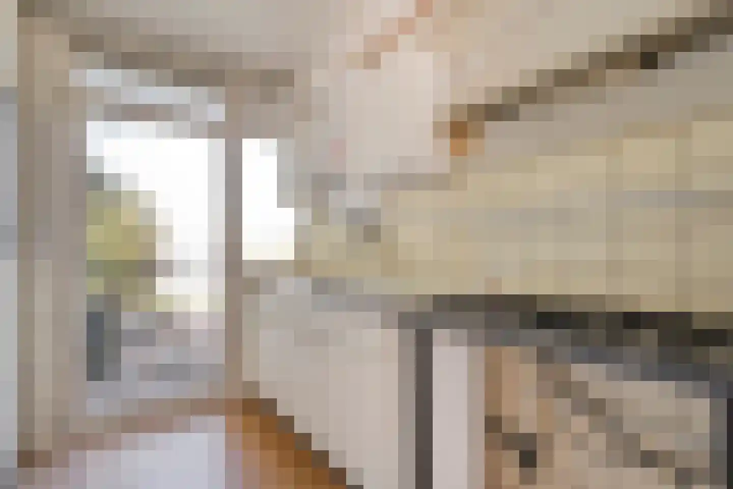 Hornstraat 29 Zwolle thumbnail 11