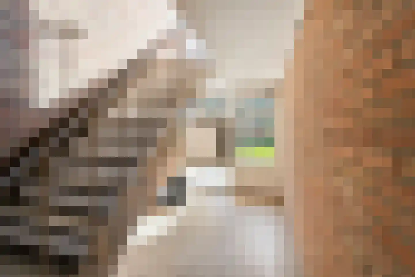 Hornstraat 29 Zwolle thumbnail 31