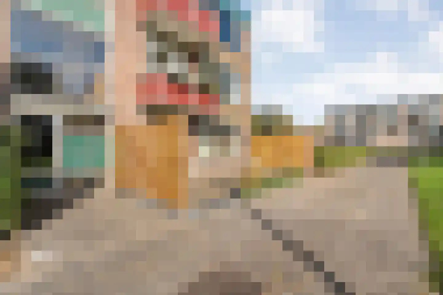 Hornstraat 29 Zwolle thumbnail 37