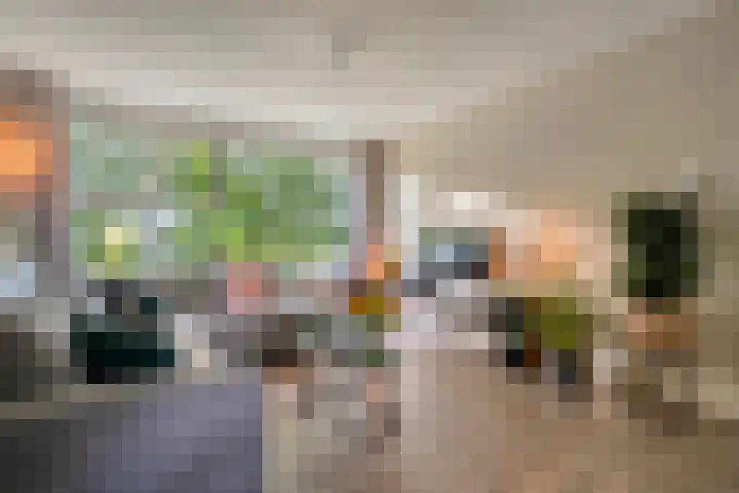 Hornstraat 53 Zwolle thumbnail 13
