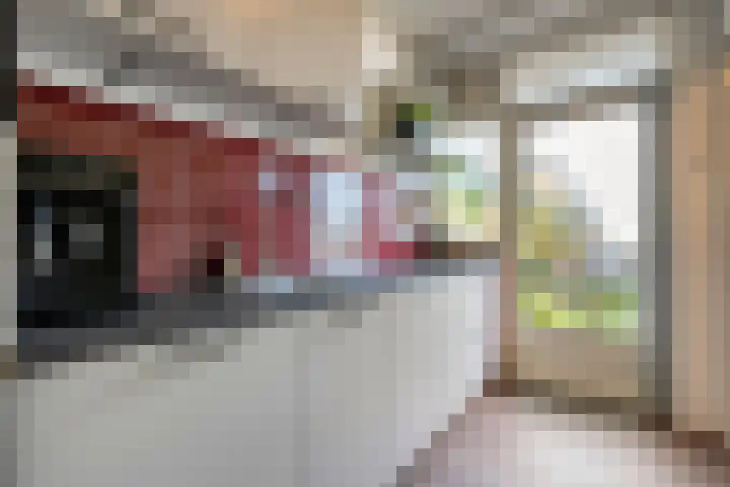 Hornstraat 53 Zwolle thumbnail 18
