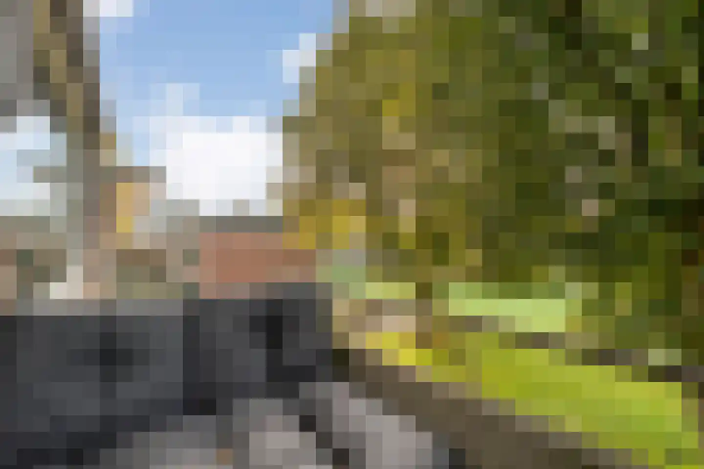 Hornstraat 53 Zwolle thumbnail 30