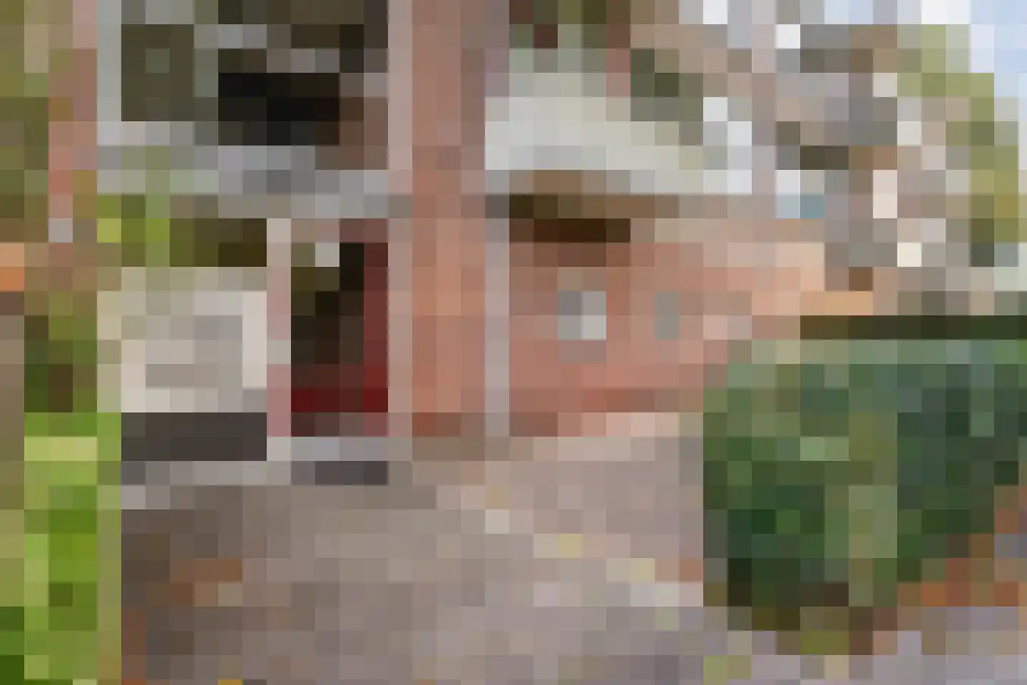 Hornstraat 53 Zwolle thumbnail 6