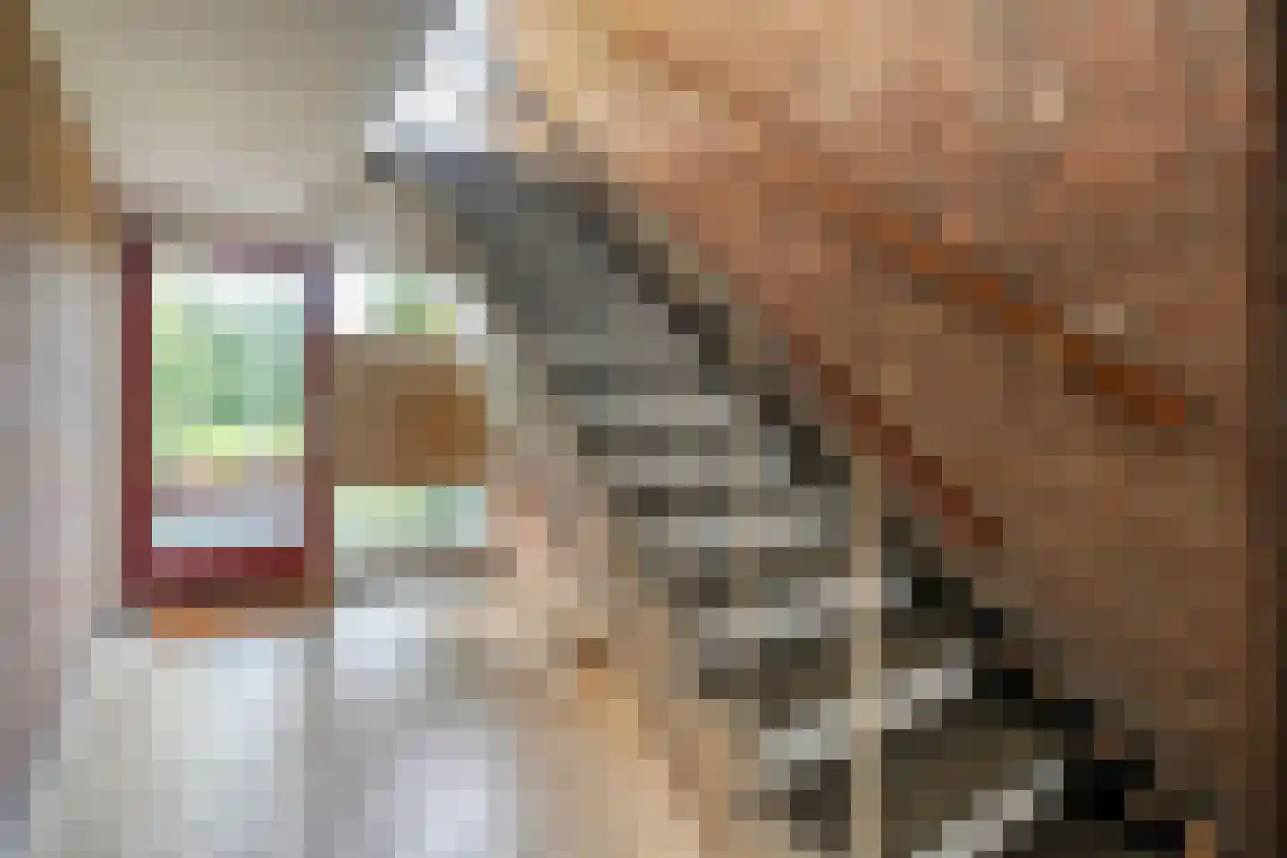 Hornstraat 53 Zwolle thumbnail 7