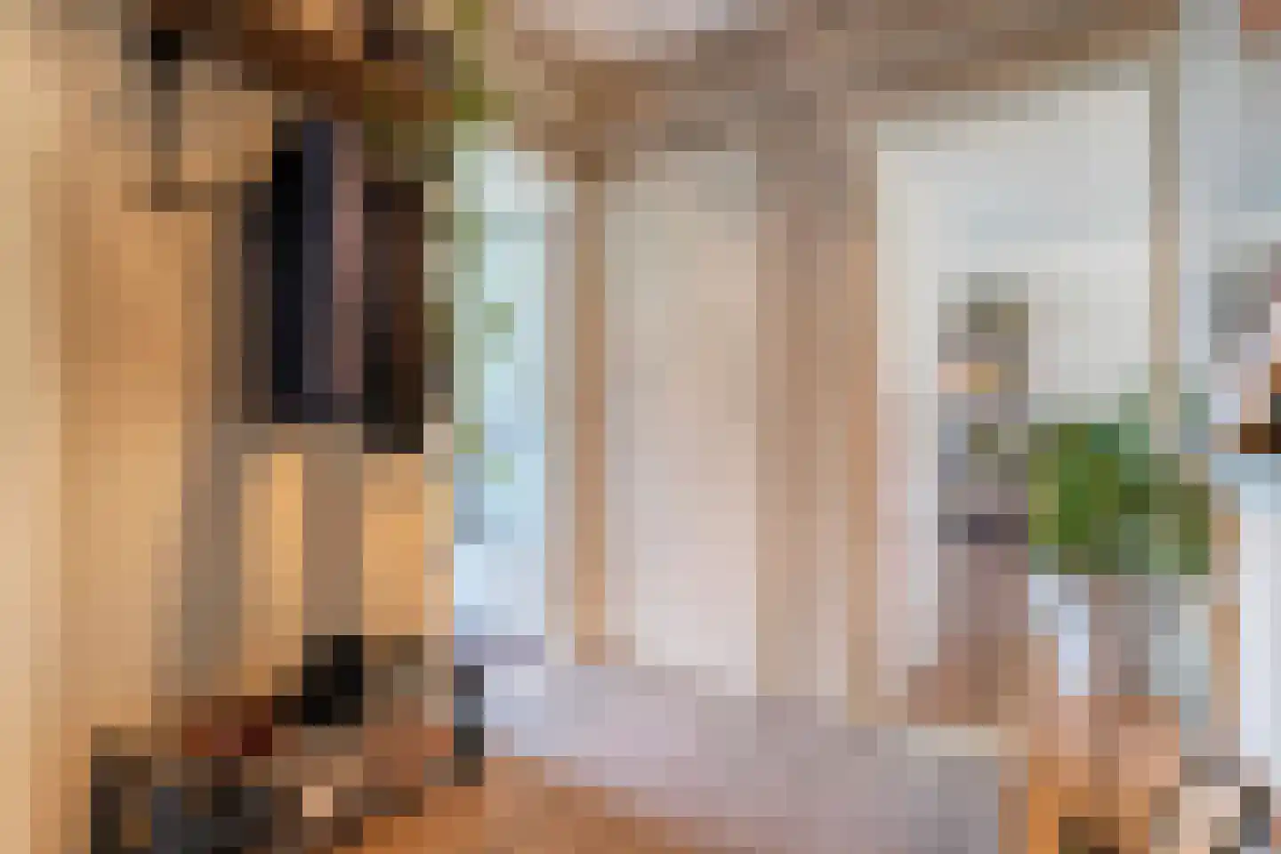 Hornstraat 53 Zwolle thumbnail 9