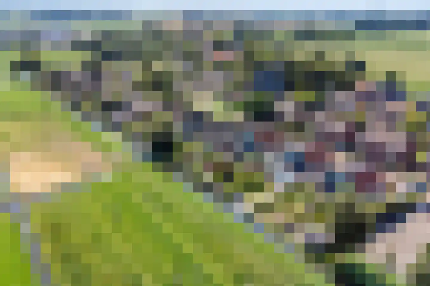 Hornstraat 6 Oterleek thumbnail 45
