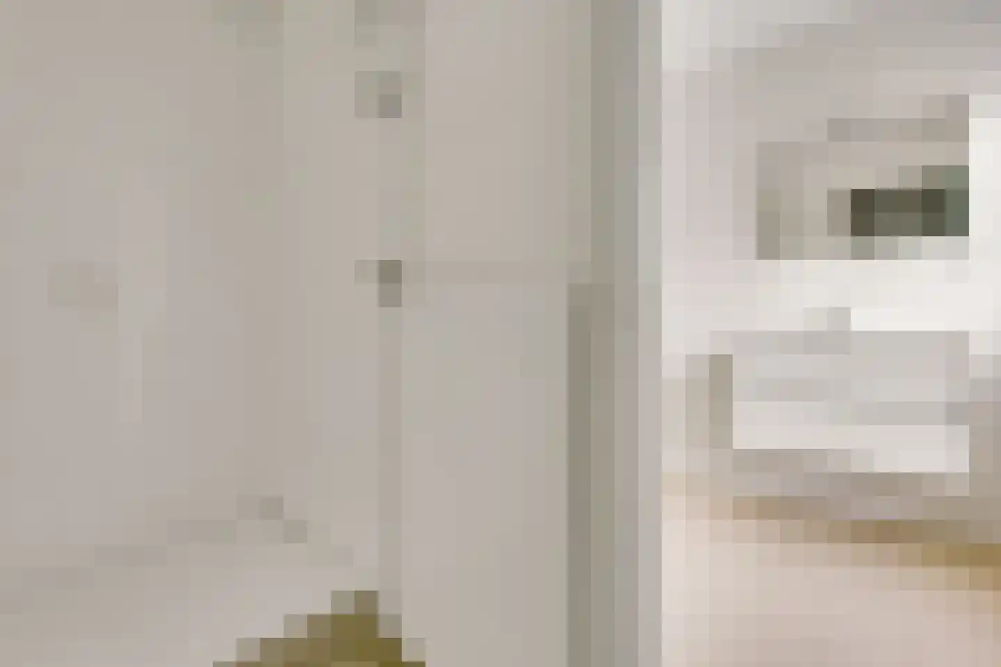 Hornstraat 6 Zwolle thumbnail 15