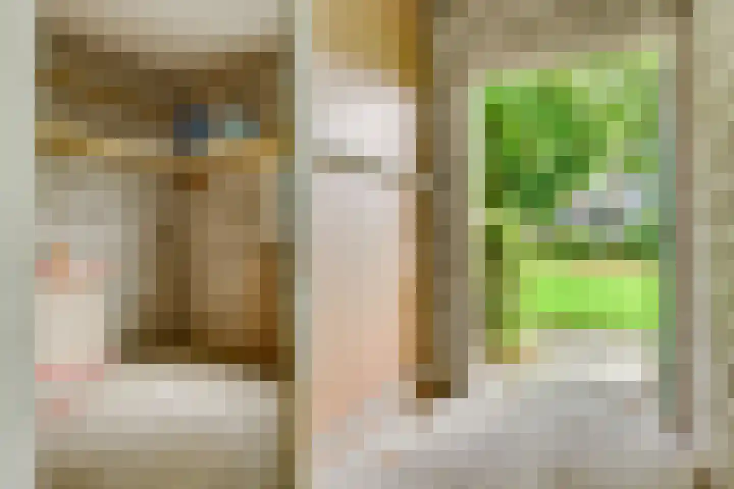 Hornstraat 6 Zwolle thumbnail 23