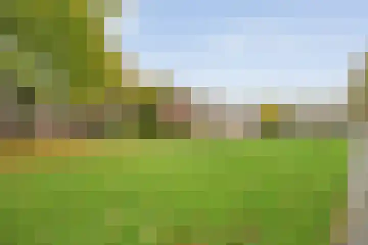 Hornstraat 67 Zwolle thumbnail 23