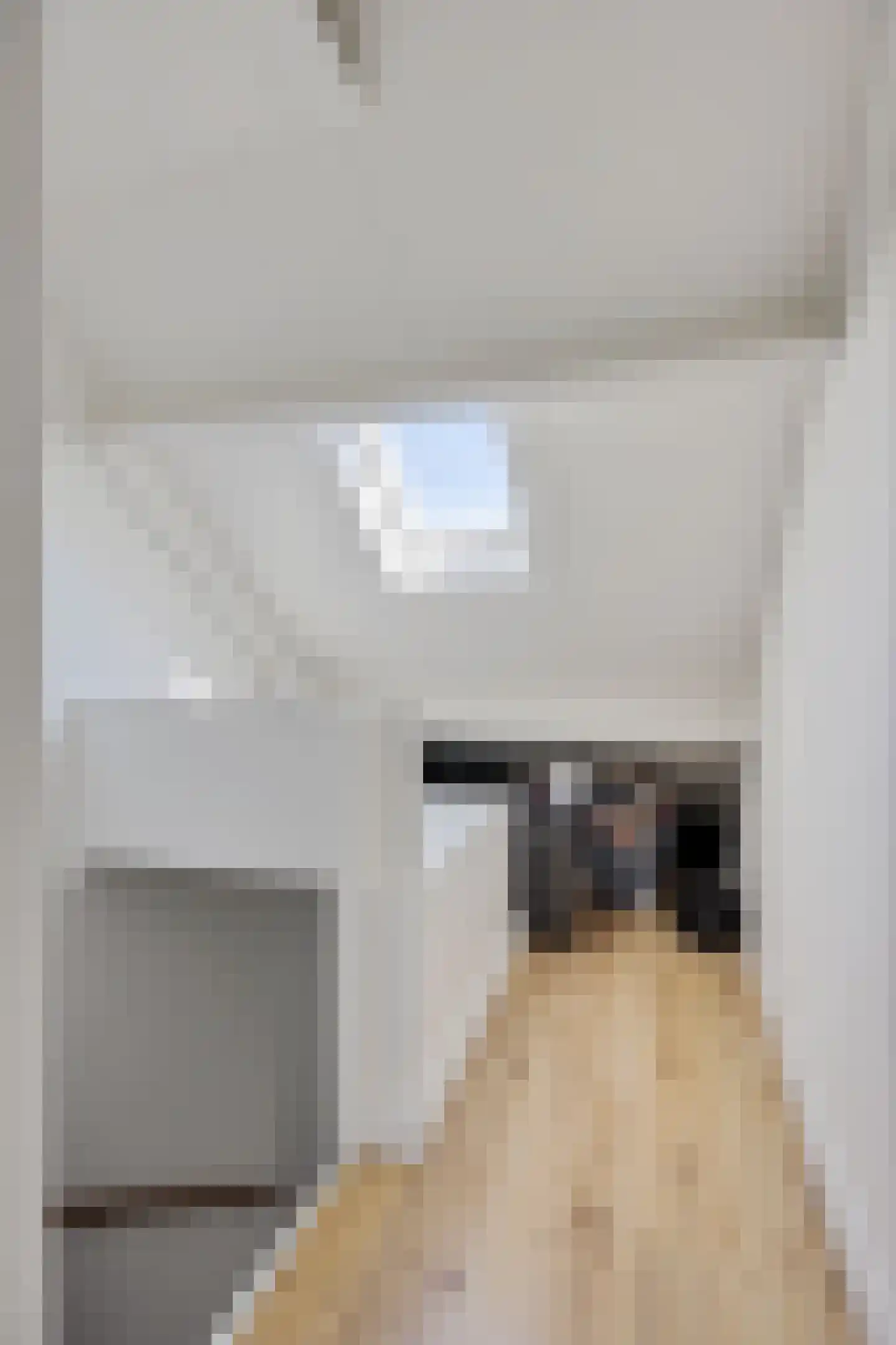 Hornstraat 7 Tilburg thumbnail 36