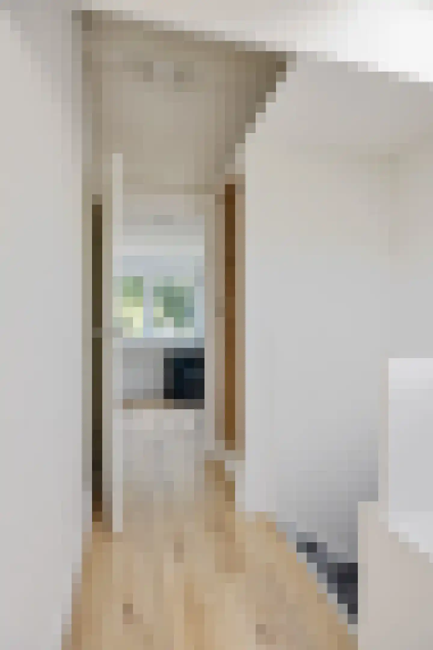 Hornstraat 7 Tilburg thumbnail 37