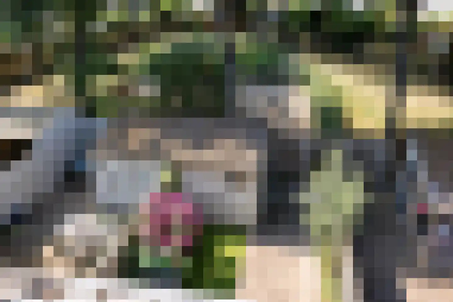 Hornstraat 7 Tilburg thumbnail 42