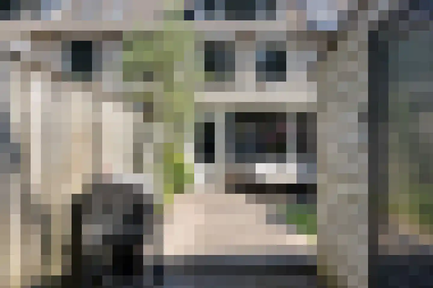 Hornstraat 7 Tilburg thumbnail 46
