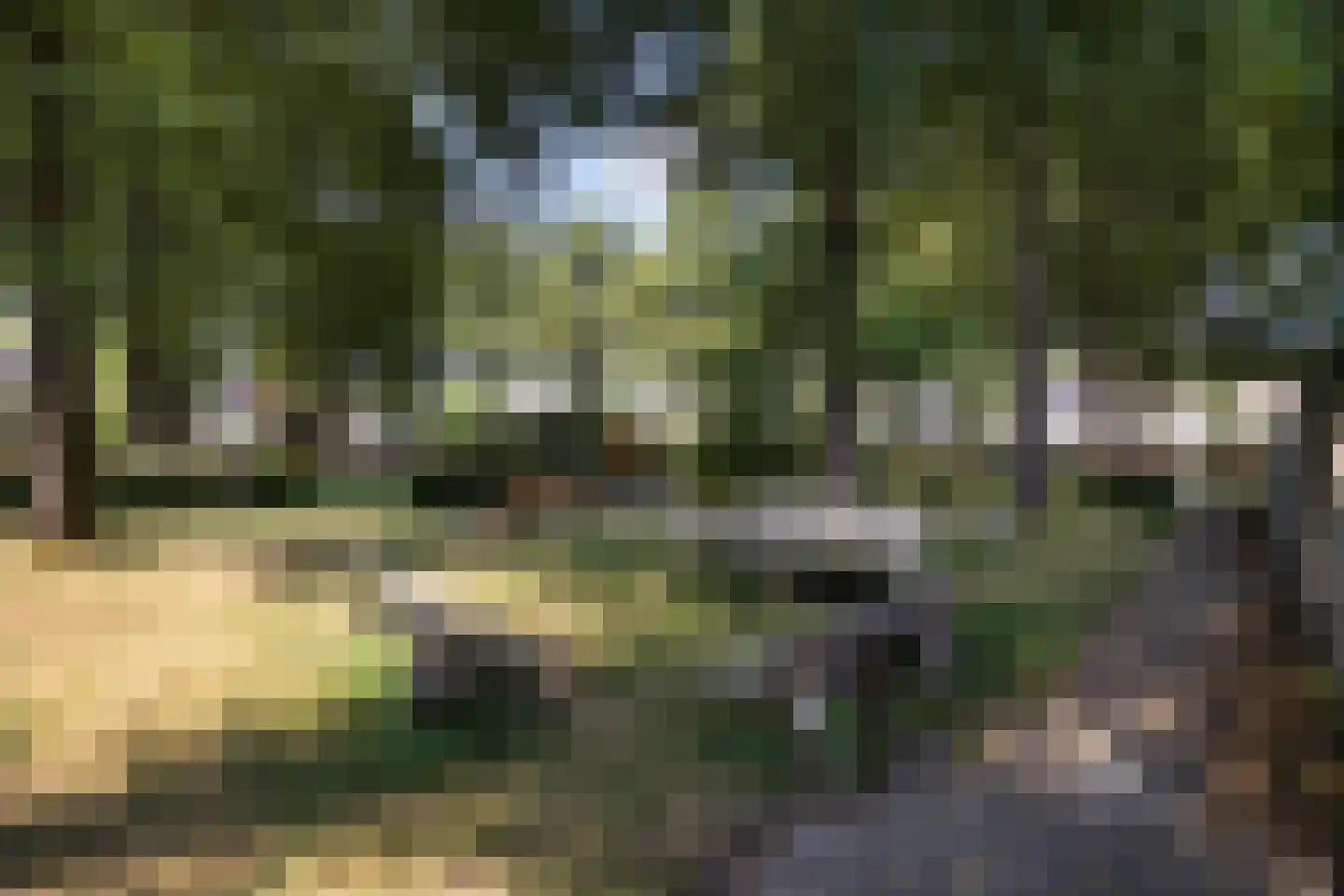 Hornstraat 7 Tilburg thumbnail 59