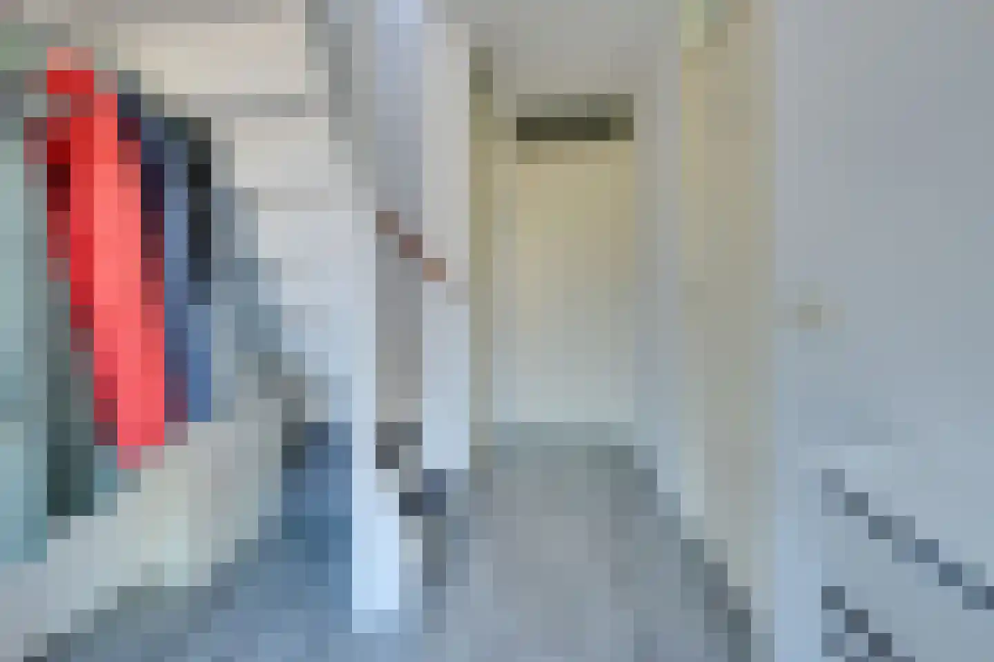 Hornstraat 8 Heerhugowaard thumbnail 11