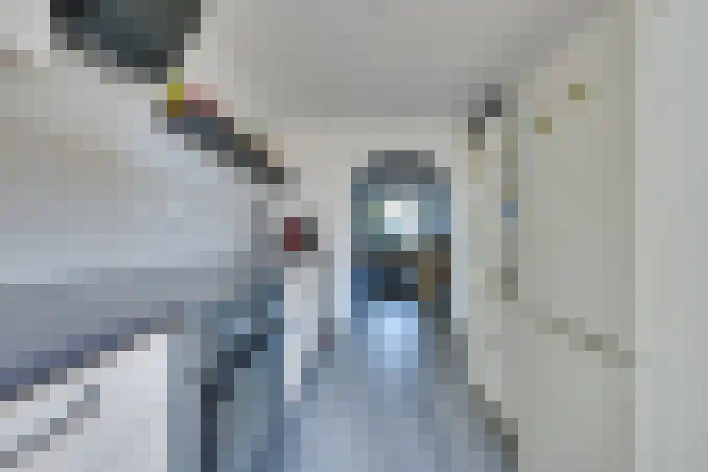 Hornstraat 8 Heerhugowaard thumbnail 20