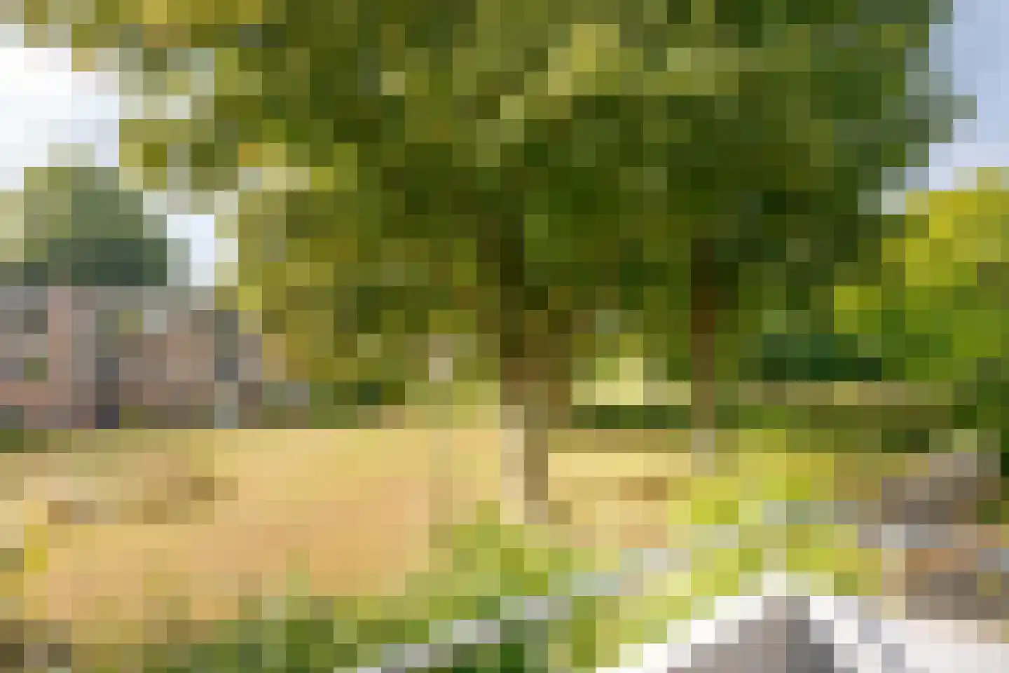 Hornstraat 83 Zwolle thumbnail 36