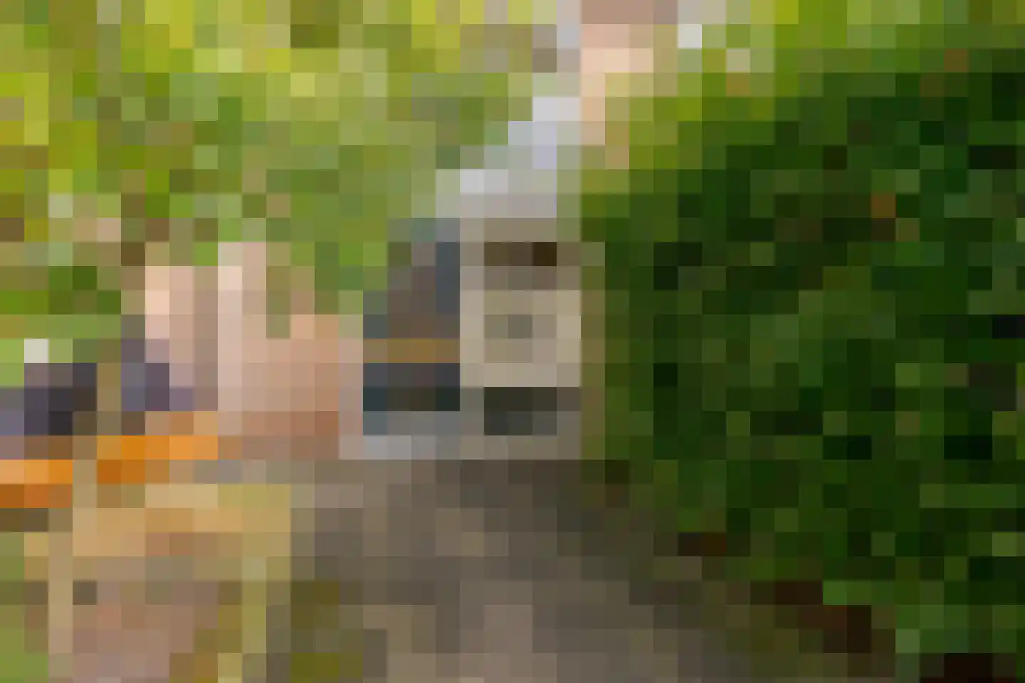 Hornstraat 83 Zwolle thumbnail 38