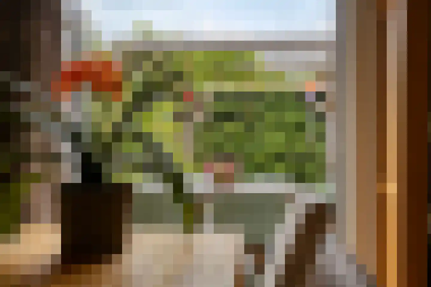 Hornstrahof 5 Heerenveen thumbnail 12