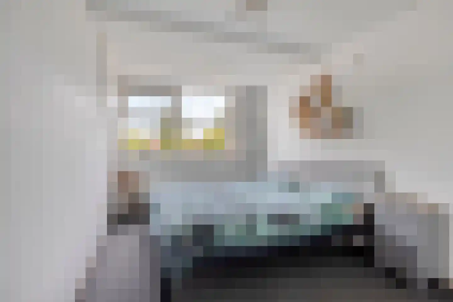 Hornstrahof 5 Heerenveen thumbnail 19