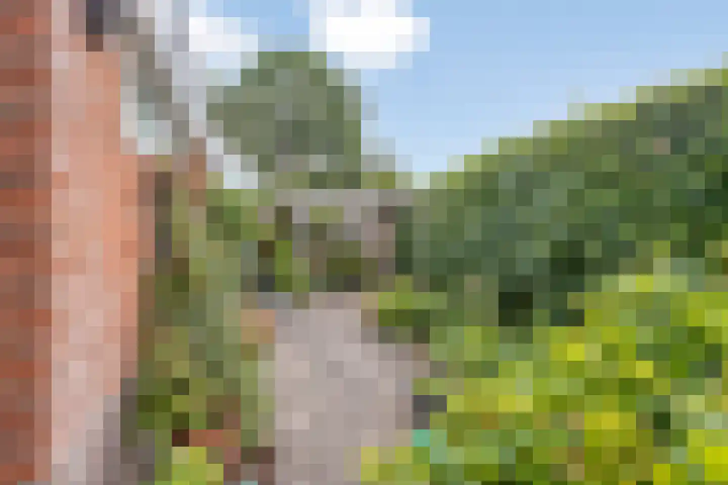 Hornstrahof 5 Heerenveen thumbnail 34