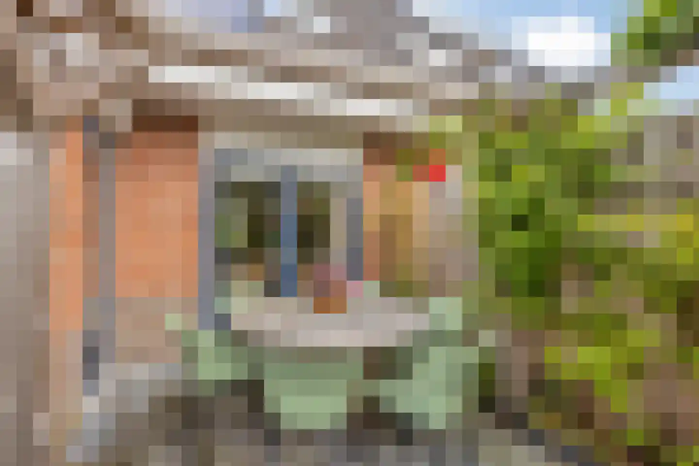 Hornstrahof 5 Heerenveen thumbnail 35