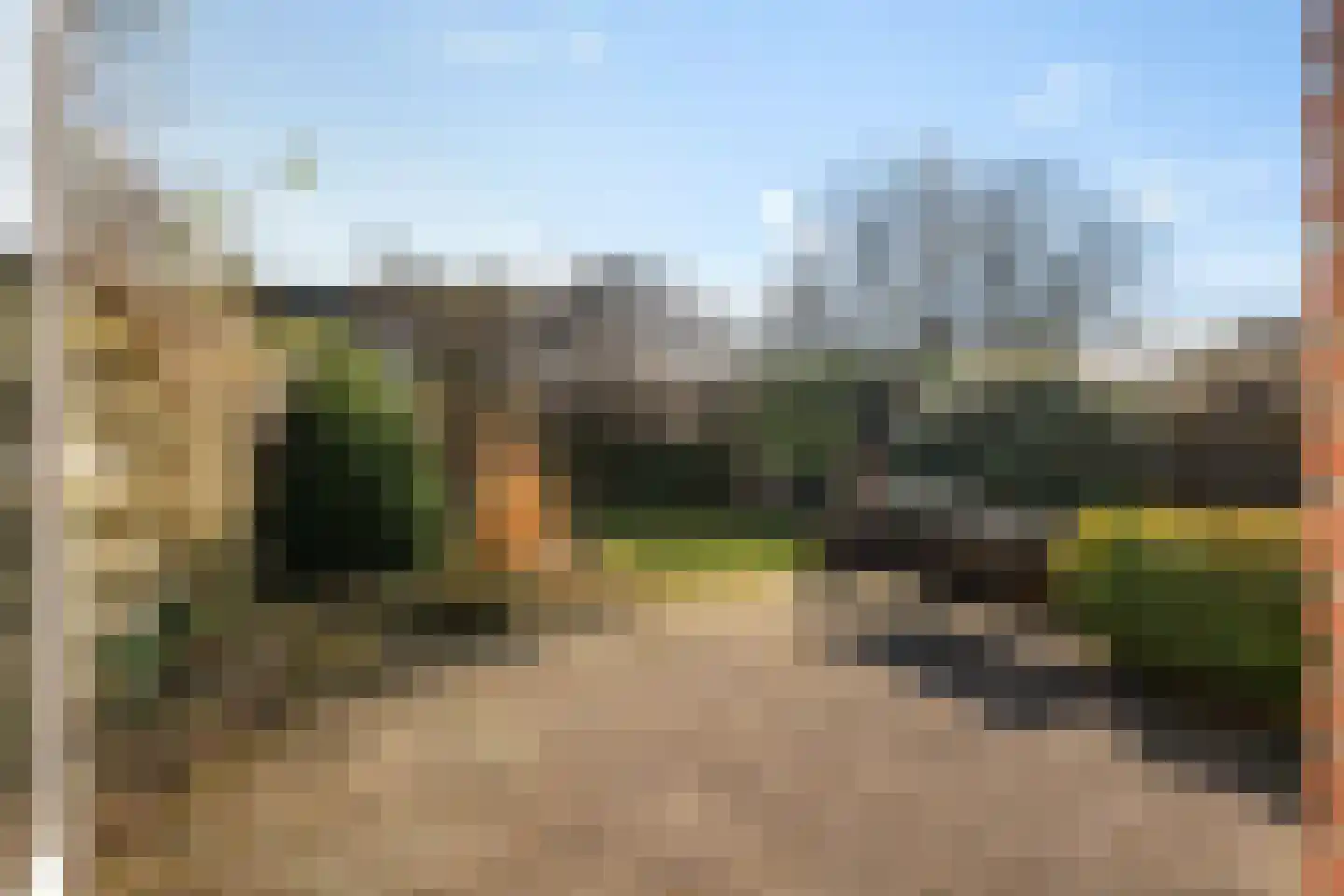 Hornstukken 42 Eelde thumbnail 23