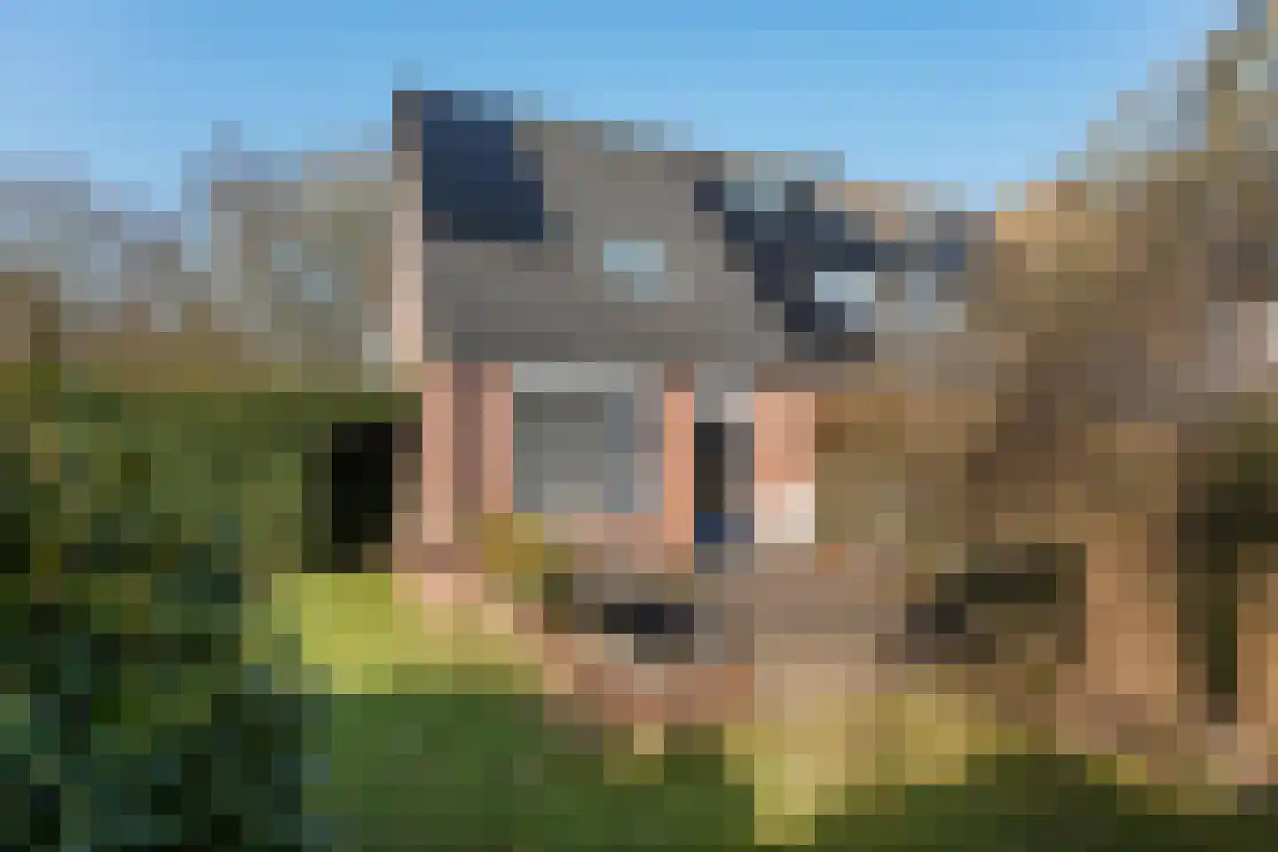 Hornstukken 42 Eelde thumbnail 25