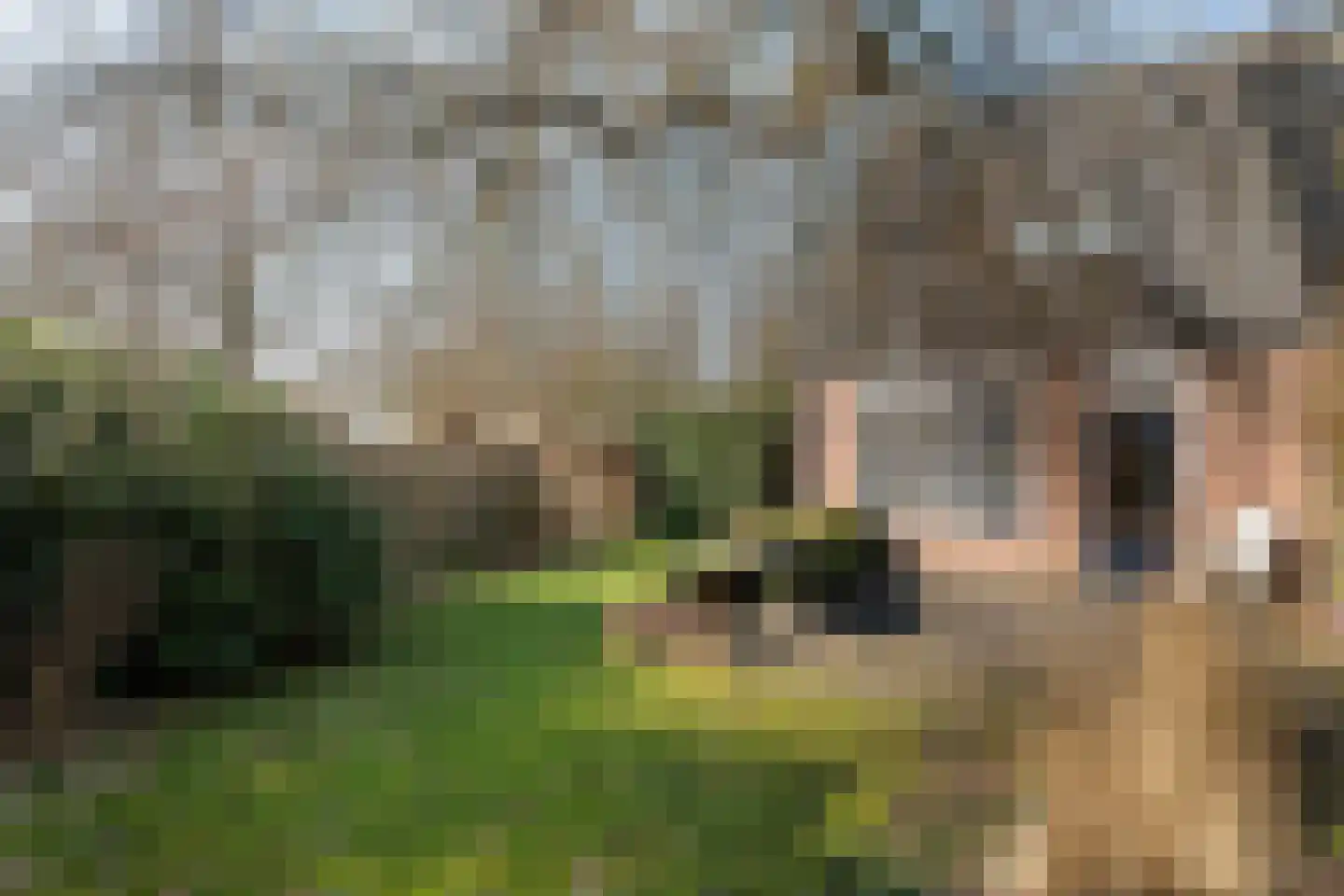 Hornstukken 42 Eelde thumbnail 26
