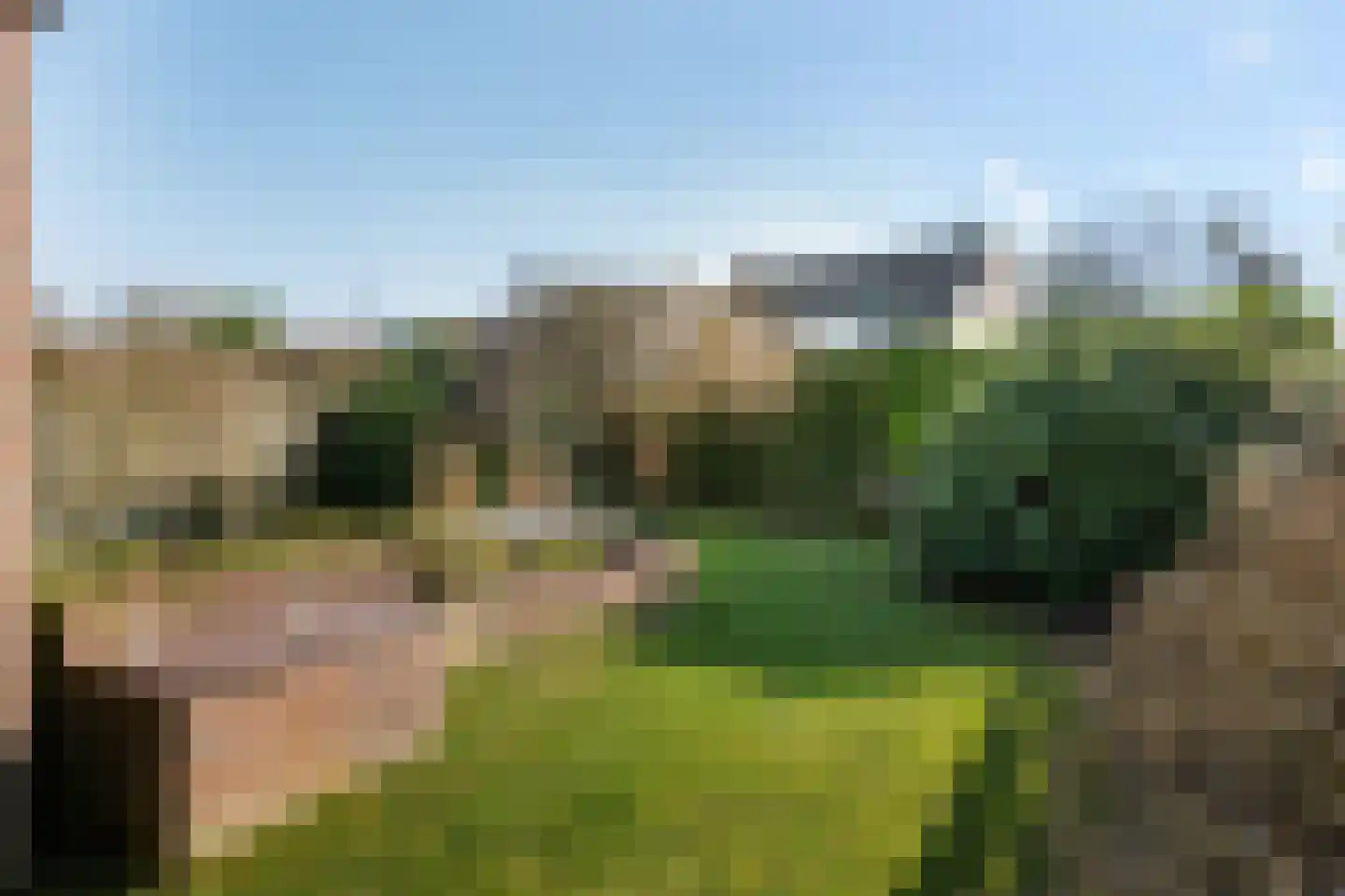 Hornstukken 42 Eelde thumbnail 27