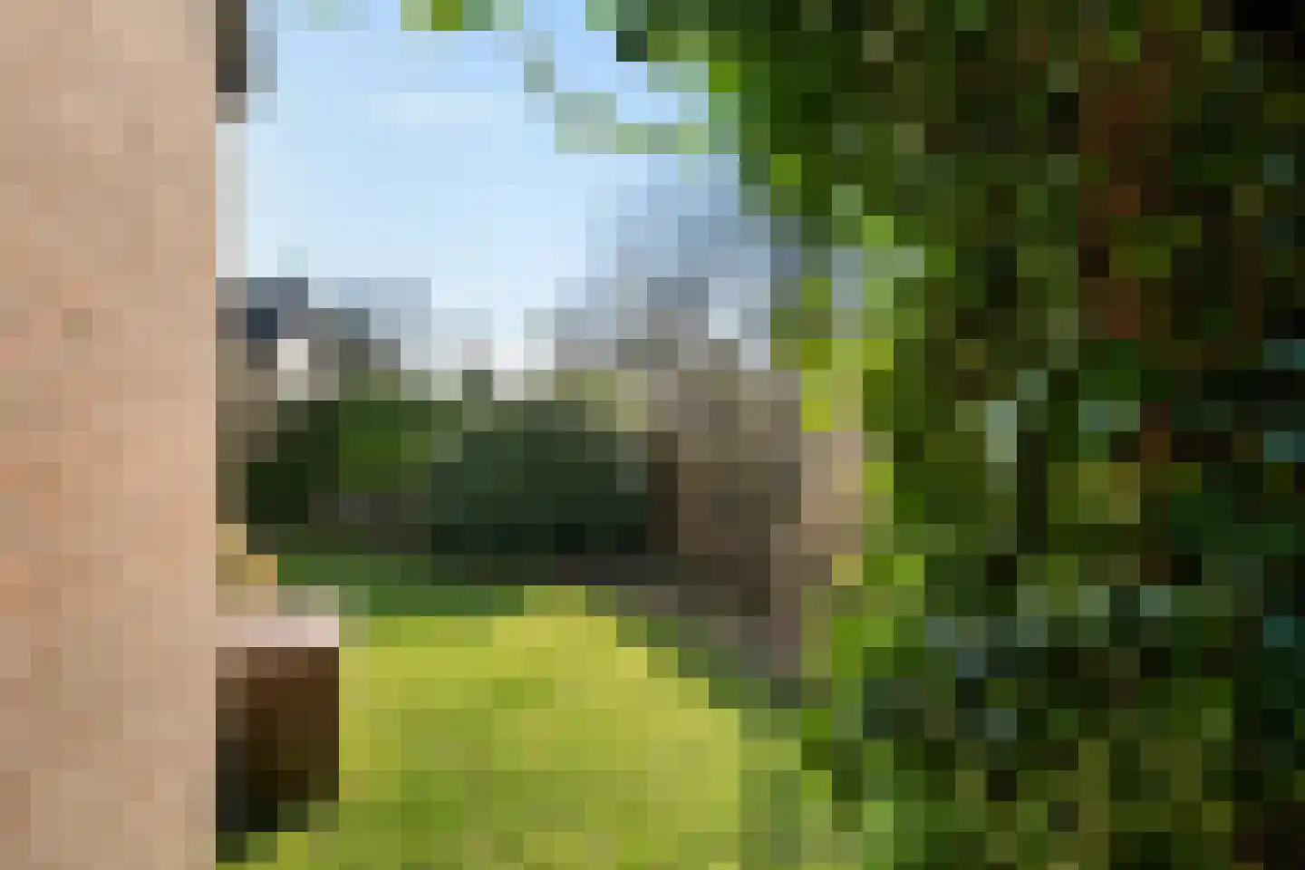 Hornstukken 42 Eelde thumbnail 28
