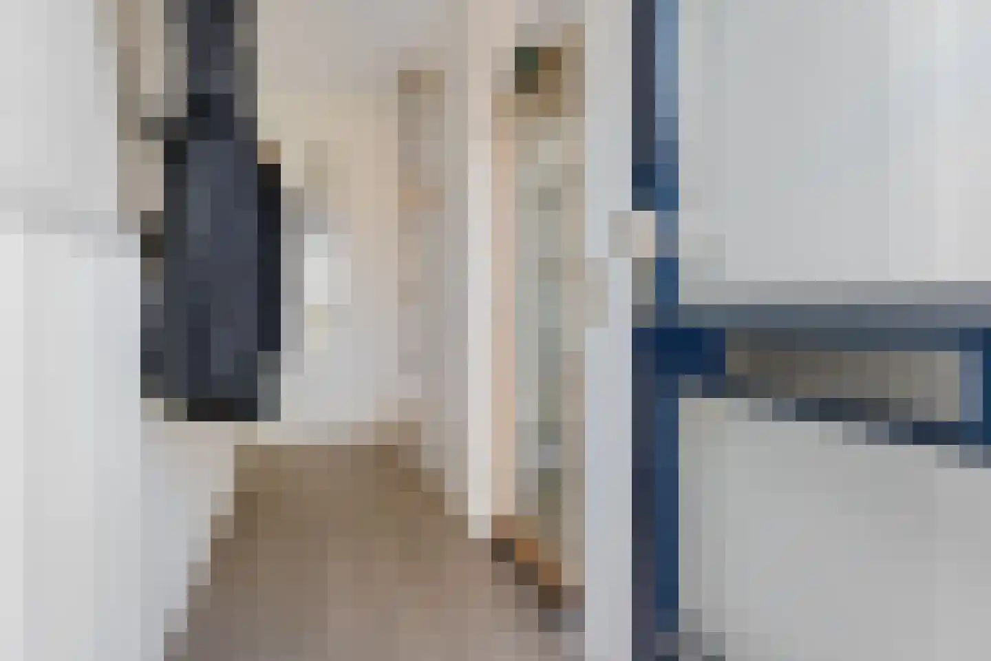 Hornstukken 42 Eelde foto 3