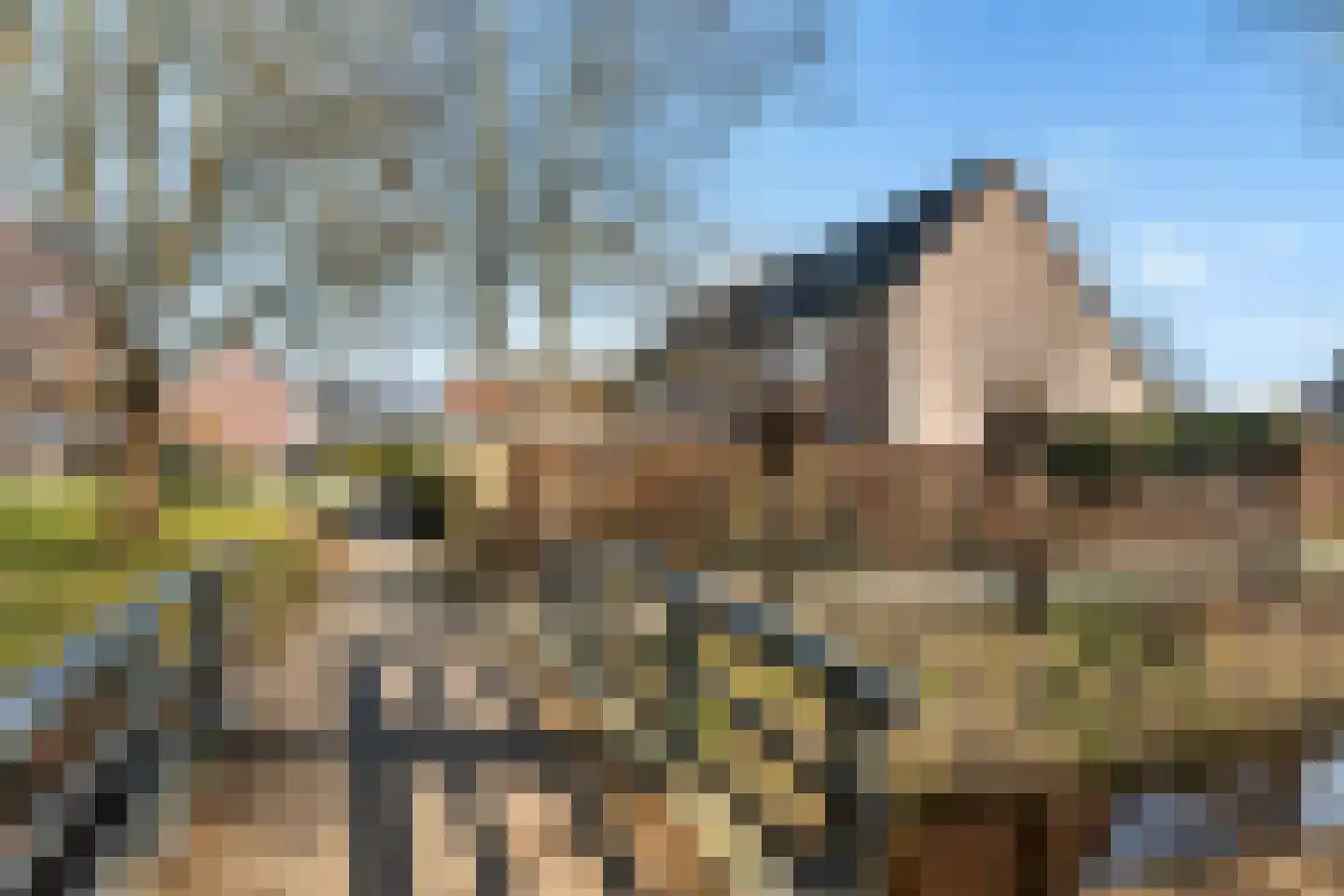 Hornstukken 42 Eelde thumbnail 30
