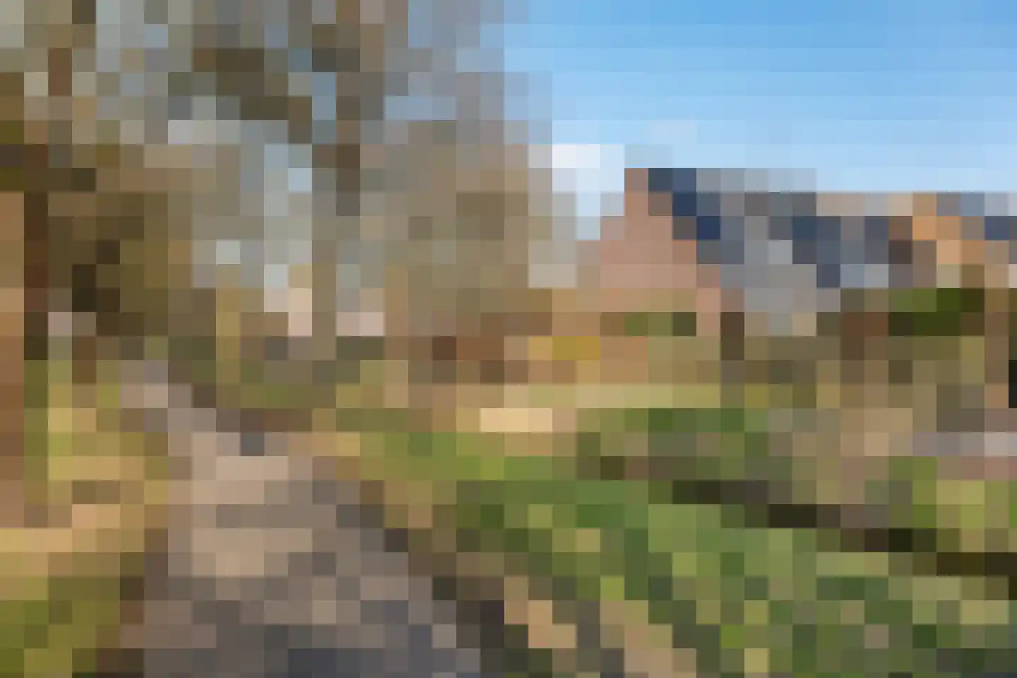 Hornstukken 42 Eelde thumbnail 31