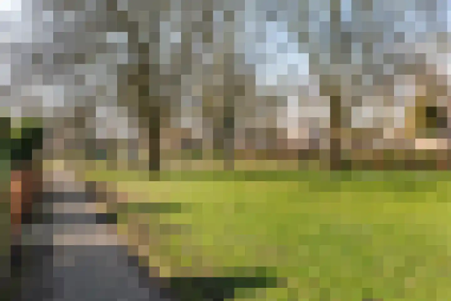 Hornstukken 42 Eelde thumbnail 32