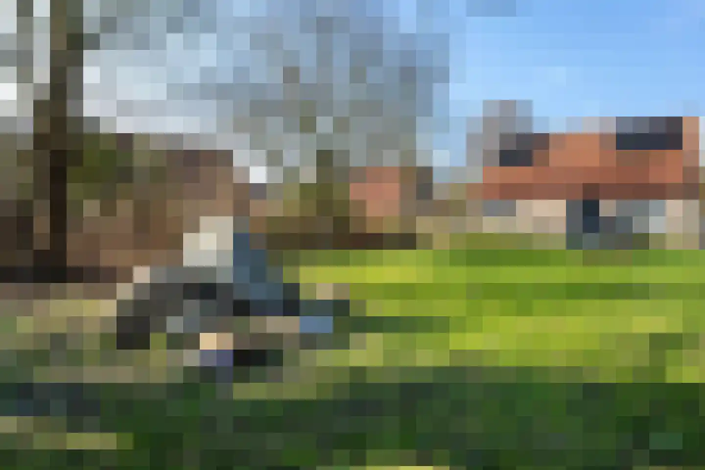 Hornstukken 42 Eelde thumbnail 33