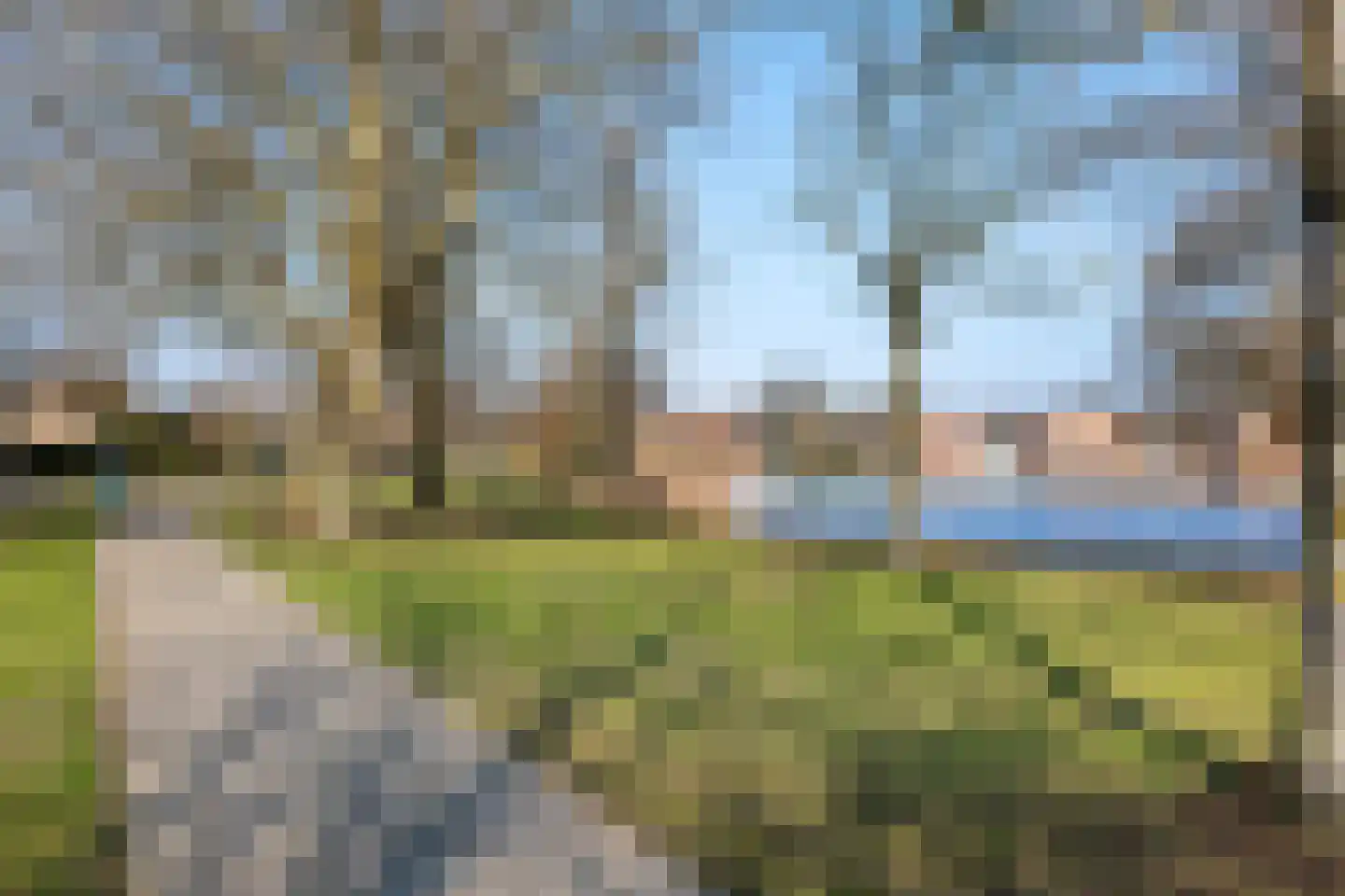 Hornstukken 42 Eelde thumbnail 36