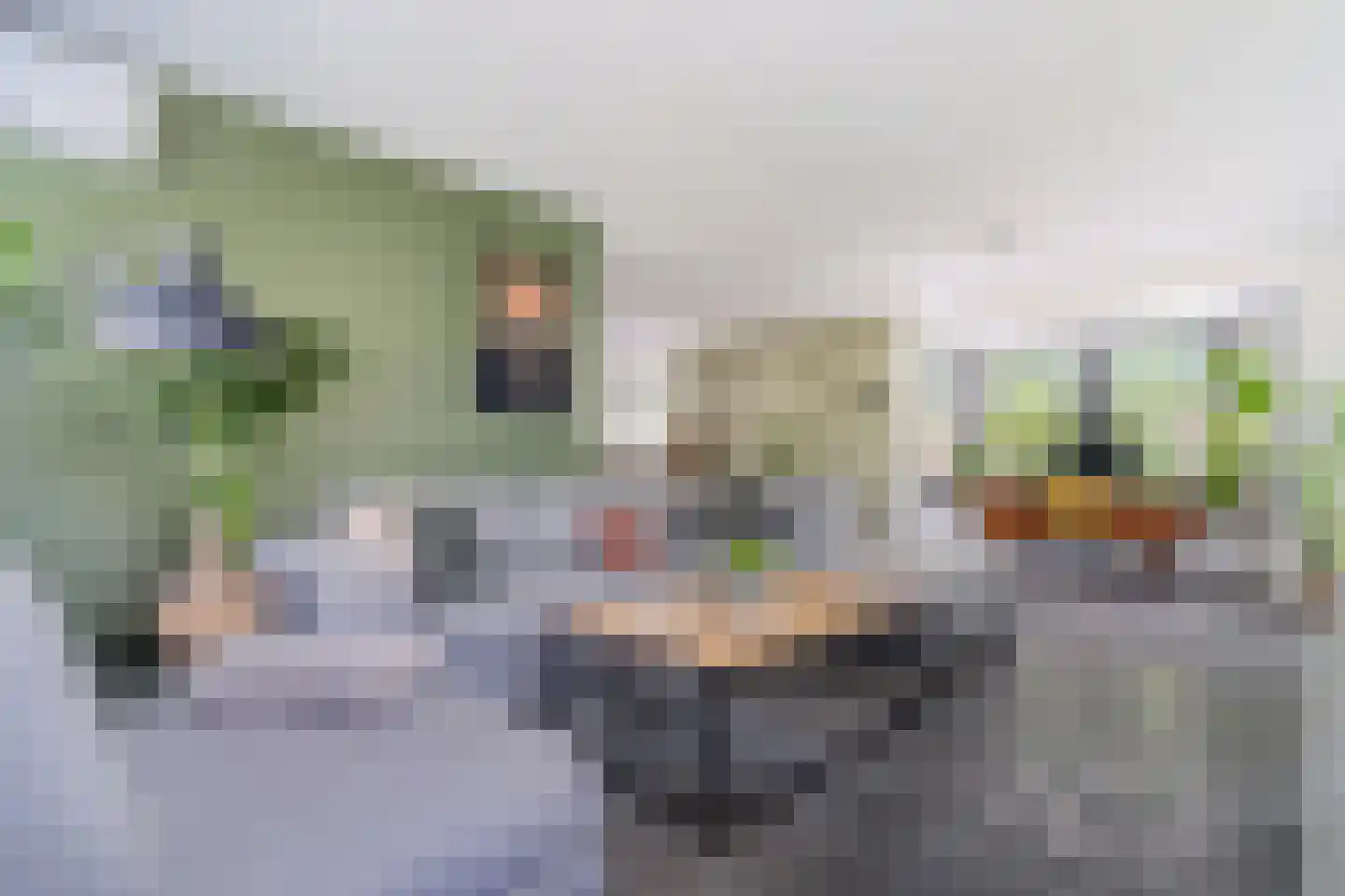 Hornven 15 Nieuwe Niedorp thumbnail 20