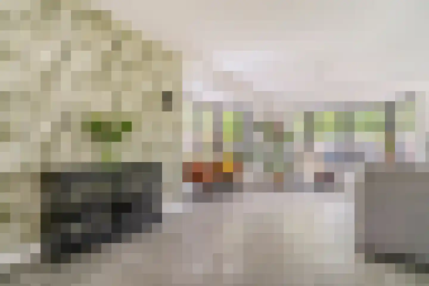 Hornven 15 Nieuwe Niedorp thumbnail 27