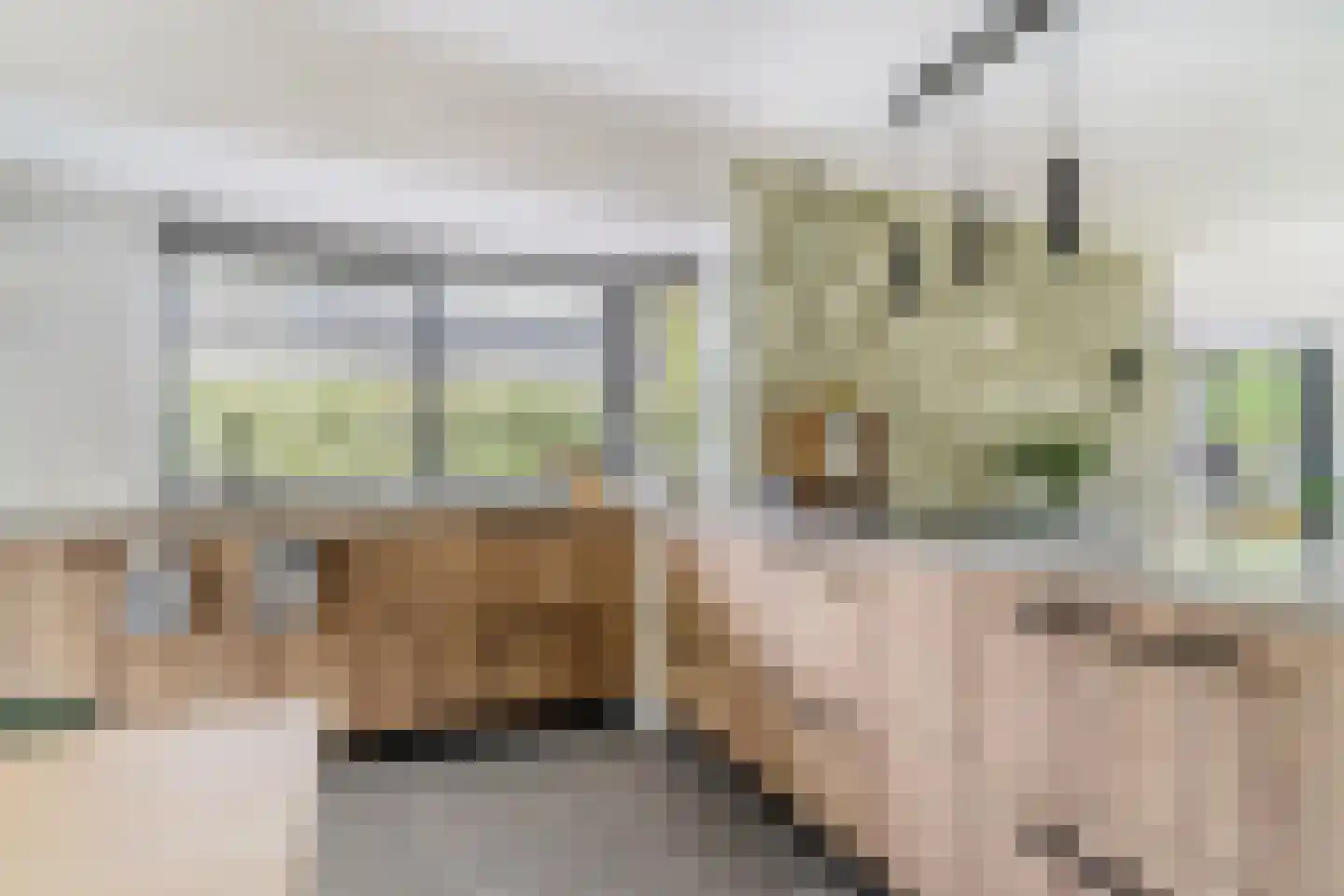 Hornven 15 Nieuwe Niedorp thumbnail 33