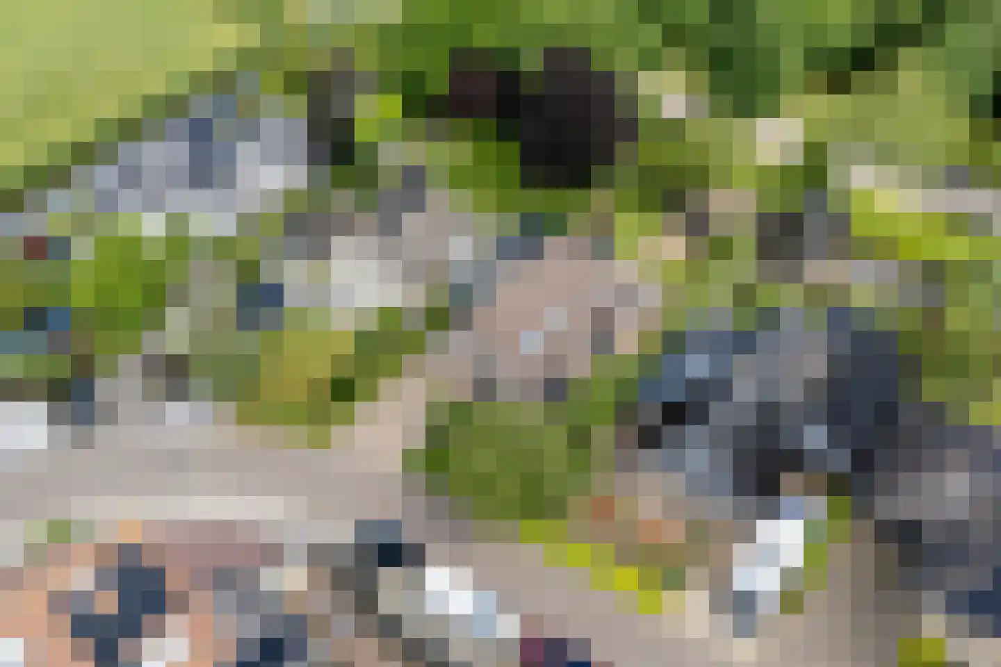 Hornven 15 Nieuwe Niedorp thumbnail 4