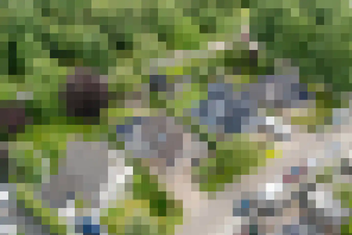 Hornven 15 Nieuwe Niedorp thumbnail 5