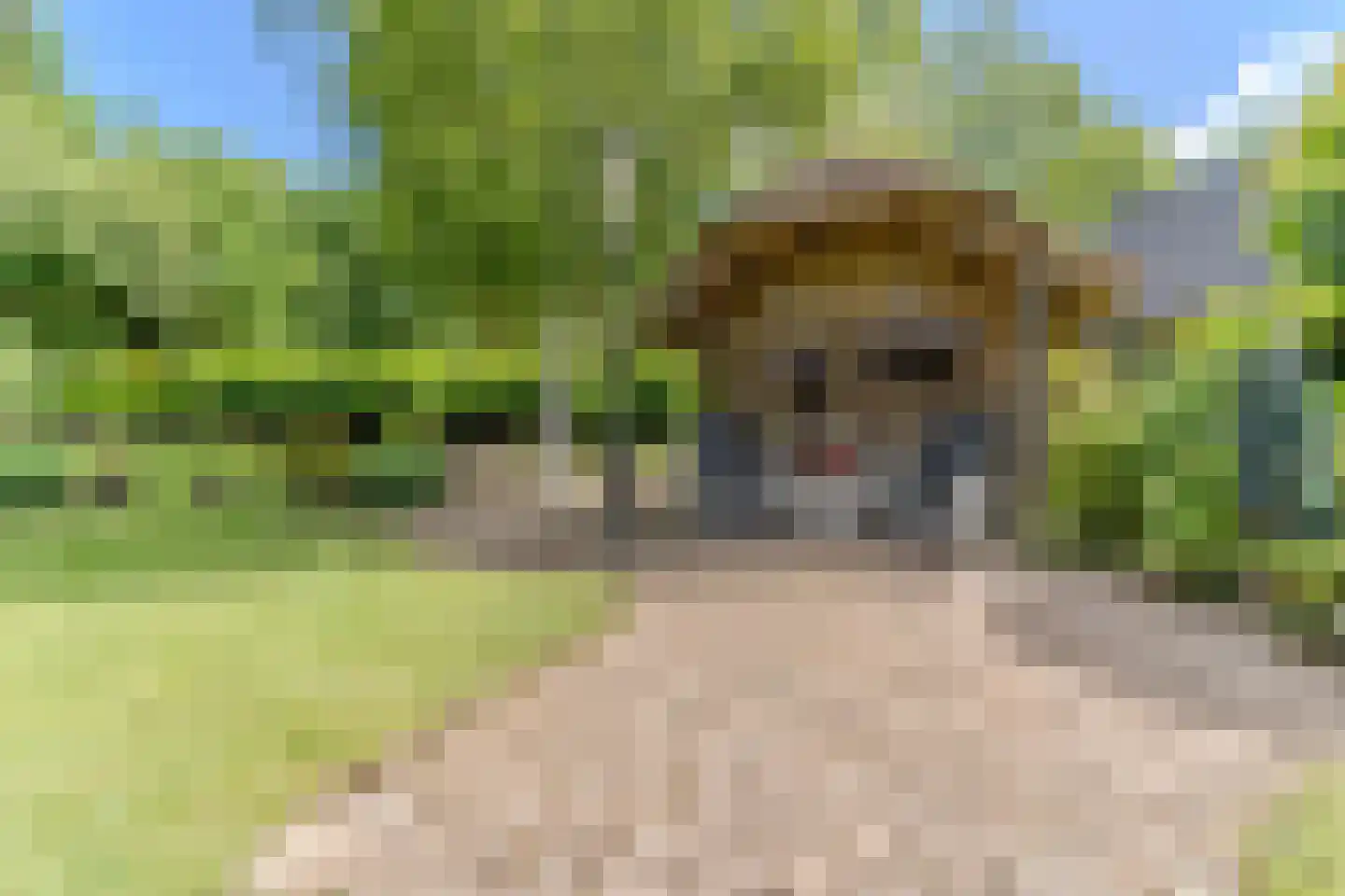 Hornven 15 Nieuwe Niedorp thumbnail 68