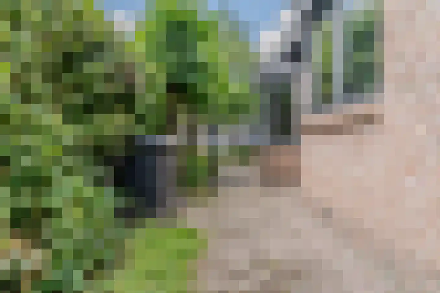 Hornven 15 Nieuwe Niedorp thumbnail 74