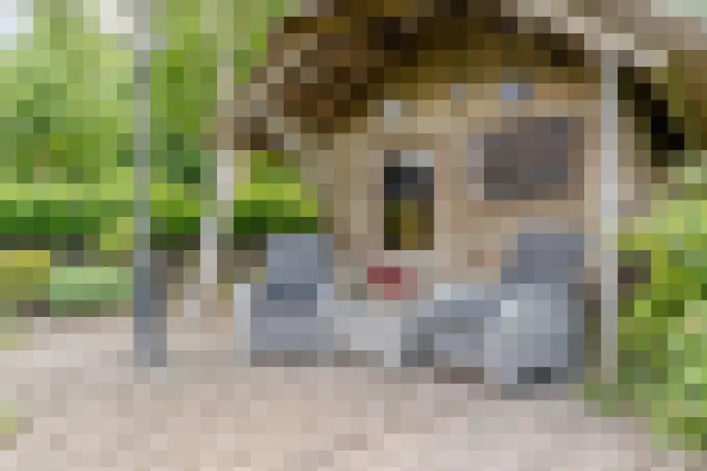 Hornven 15 Nieuwe Niedorp thumbnail 75
