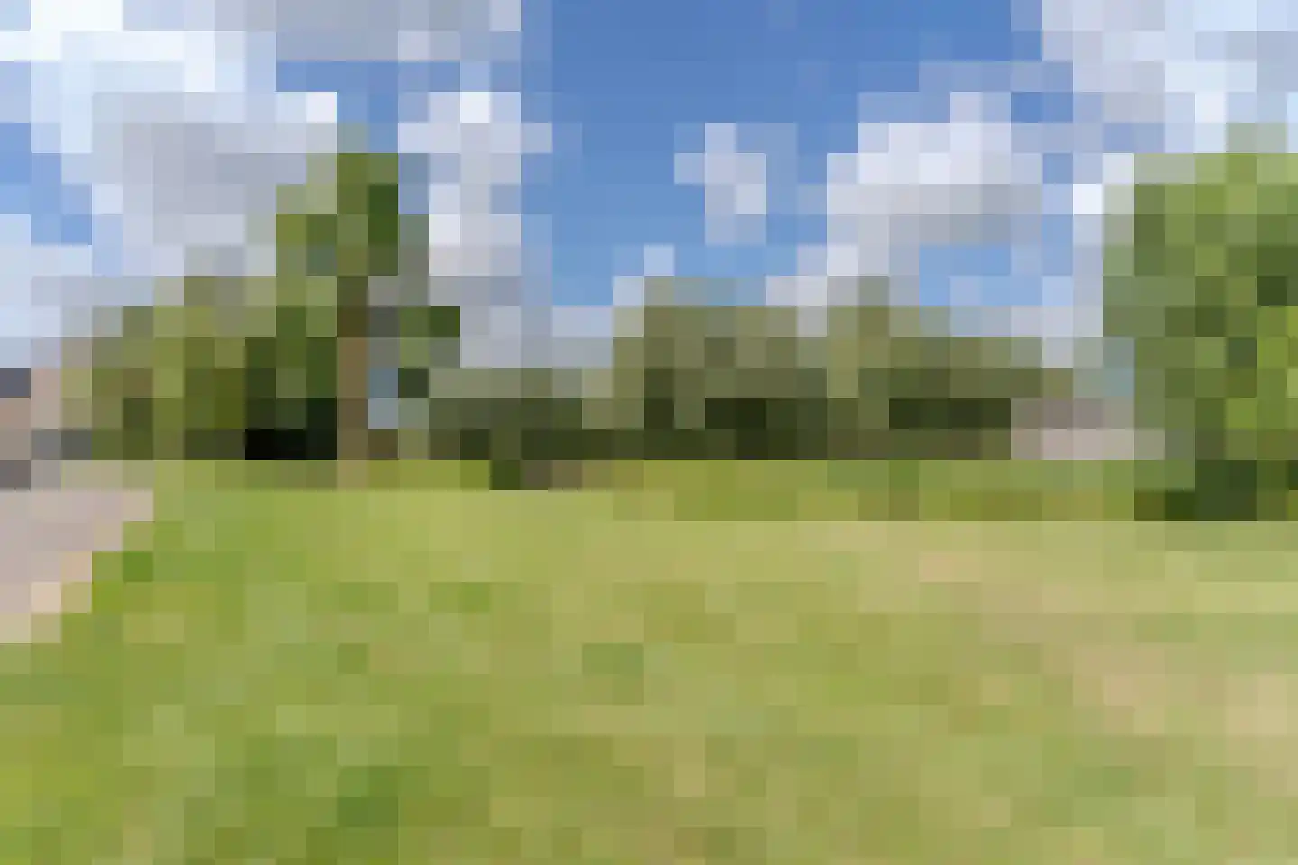 Hornven 15 Nieuwe Niedorp thumbnail 77