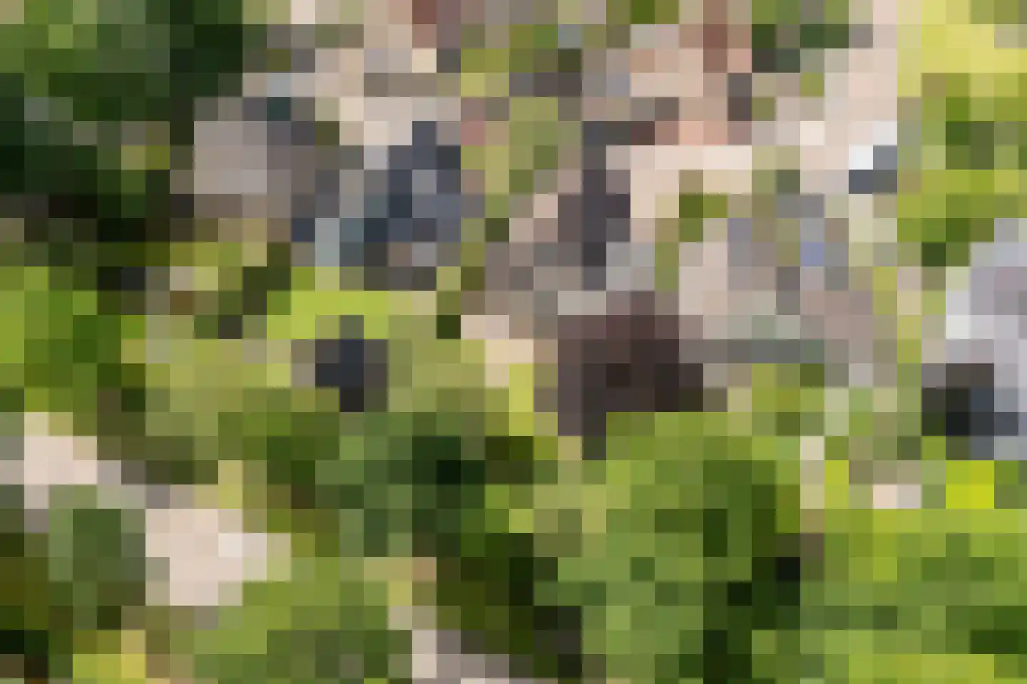 Hornven 15 Nieuwe Niedorp thumbnail 81