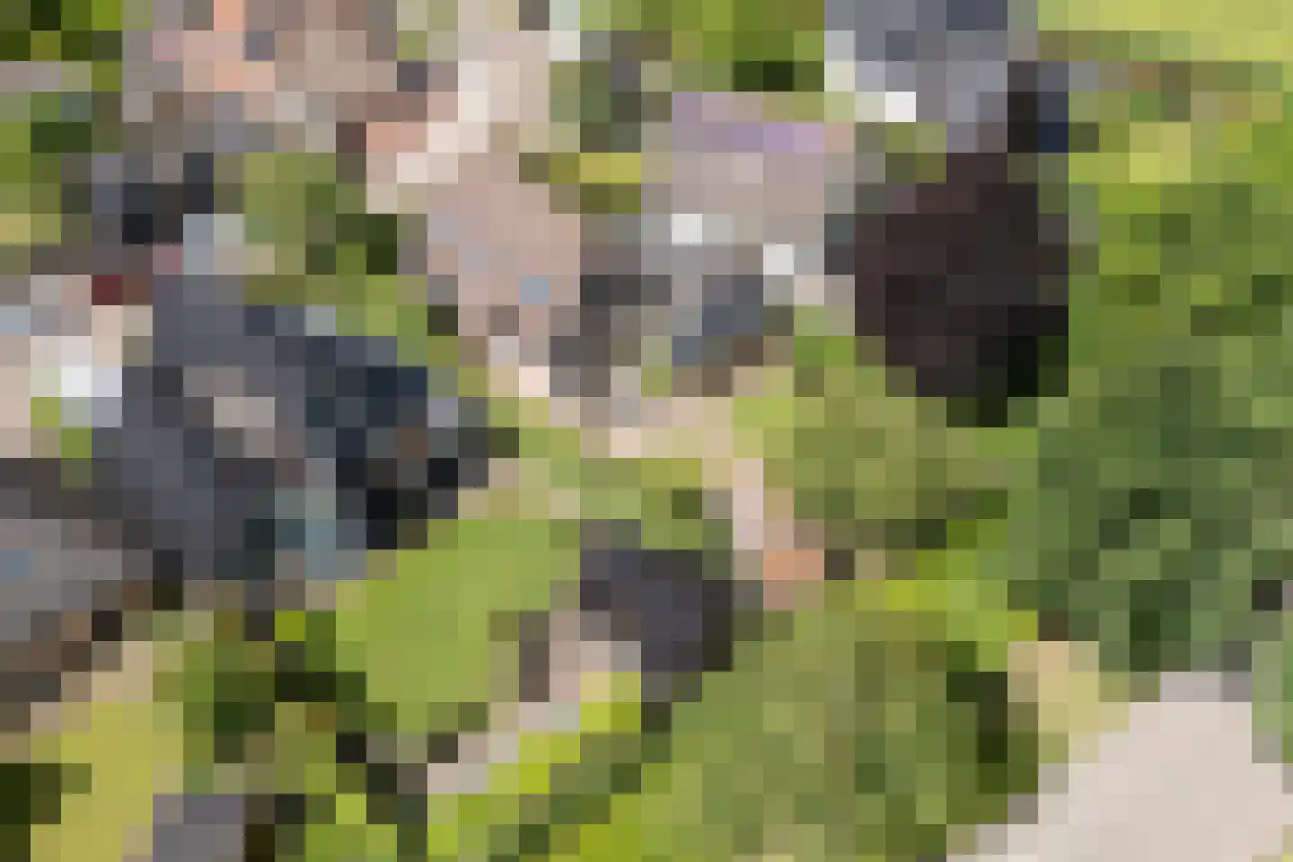 Hornven 15 Nieuwe Niedorp thumbnail 82