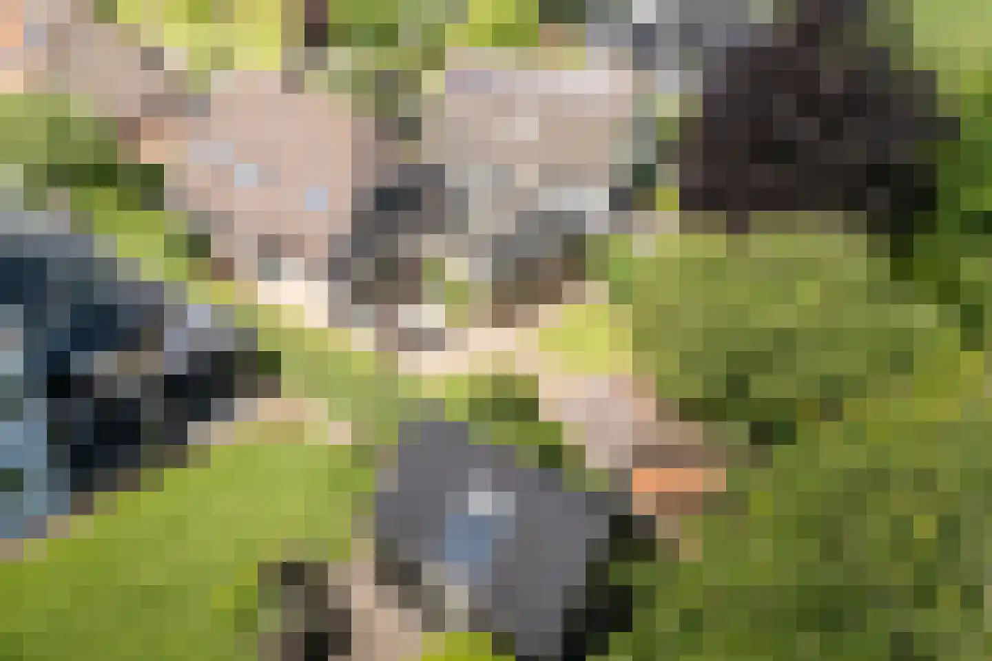 Hornven 15 Nieuwe Niedorp thumbnail 83