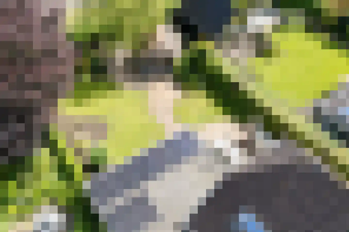 Hornven 15 Nieuwe Niedorp thumbnail 89